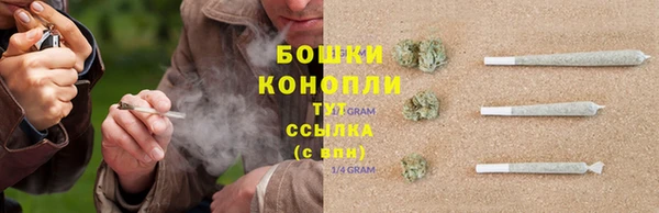 ПСИЛОЦИБИНОВЫЕ ГРИБЫ Абаза