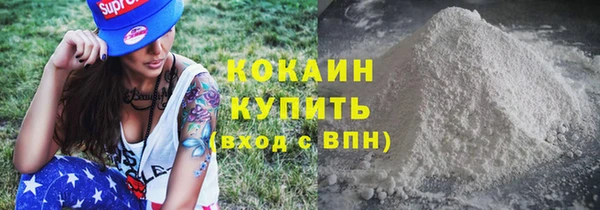 ПСИЛОЦИБИНОВЫЕ ГРИБЫ Абаза