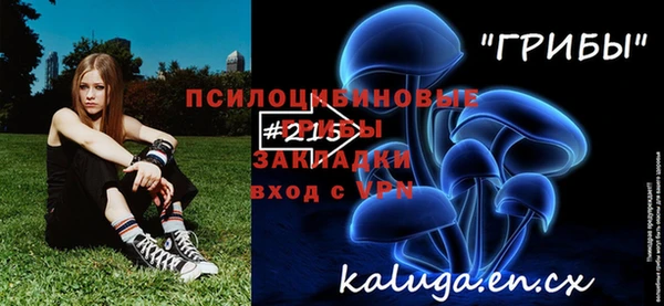 ПСИЛОЦИБИНОВЫЕ ГРИБЫ Абаза