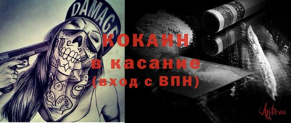 ПСИЛОЦИБИНОВЫЕ ГРИБЫ Абаза
