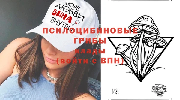 ПСИЛОЦИБИНОВЫЕ ГРИБЫ Абаза