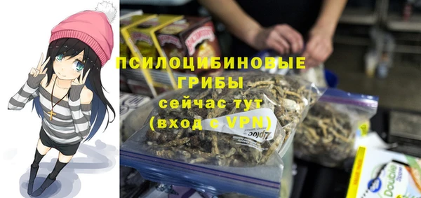 ГАЛЛЮЦИНОГЕННЫЕ ГРИБЫ Абинск