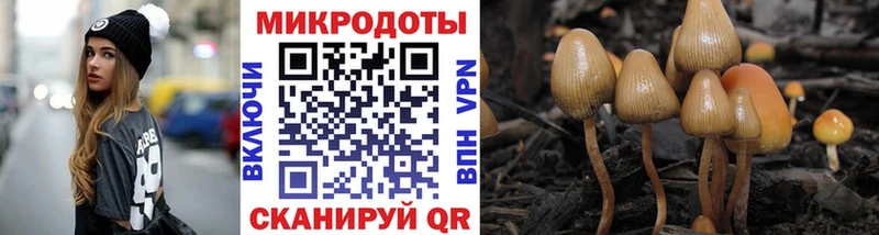 Галлюциногенные грибы Cubensis  гидра ССЫЛКА  Псков 